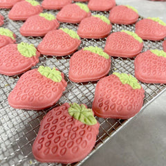 Handcrafted Chicken & Cheese Strawberry Crisps – 20-Pack, 100% Natural, No Additives, Fresh Ingredients – Perfect for Meal Toppers, Training Treats, or Pet Decoration