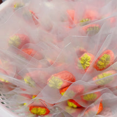 Handcrafted Chicken & Cheese Strawberry Crisps – 20-Pack, 100% Natural, No Additives, Fresh Ingredients – Perfect for Meal Toppers, Training Treats, or Pet Decoration