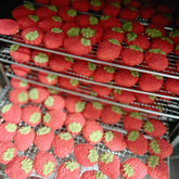 Handcrafted Chicken & Cheese Strawberry Crisps – 20-Pack, 100% Natural, No Additives, Fresh Ingredients – Perfect for Meal Toppers, Training Treats, or Pet Decoration