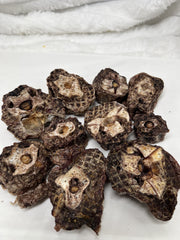 Premium Ostrich Meat Pet Treats – Fresh, Handcrafted, Vacuum-Sealed (20 Pieces) – No Additives or Preservatives