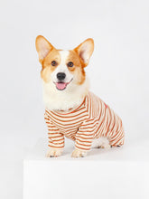 Shirts for Corgis