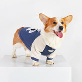 Cute Clothes for Corgi Puppies