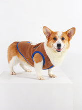 Costume Corgi