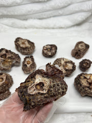 Premium Ostrich Meat Pet Treats – Fresh, Handcrafted, Vacuum-Sealed (20 Pieces) – No Additives or Preservatives