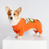 Orange Corgi Attire