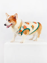 Cute Corgi Vest