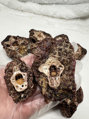 Premium Ostrich Meat Pet Treats – Fresh, Handcrafted, Vacuum-Sealed (20 Pieces) – No Additives or Preservatives