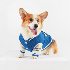 Blue Corgi Dress Up