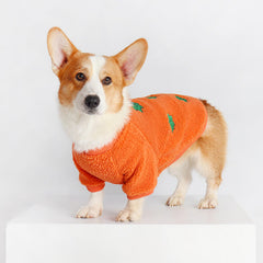 Cute Orange Corgi Vest | Corgi Costumes