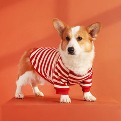 Sweater with Corgi