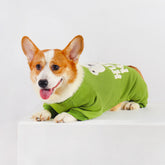 Green Jumpsuit for Dog for Winter/Autumn