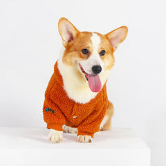 Cute Corgi Dog Outfits