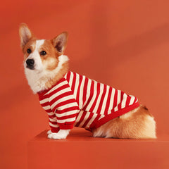Sweater with Corgi
