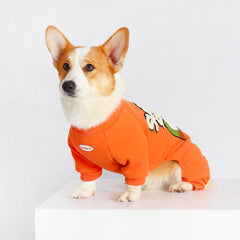 Orange Corgi Attire