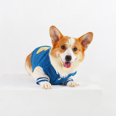 Blue Corgi Dress Up