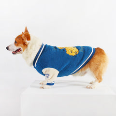 Blue Corgi Dress Up