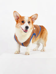 Costume Corgi