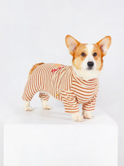 Shirts for Corgis