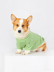 Clothes Made for Corgis