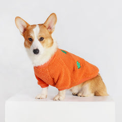 Cute Orange Corgi Vest | Corgi Costumes