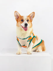 Cute Corgi Vest