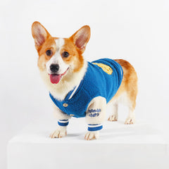 Blue Corgi Dress Up