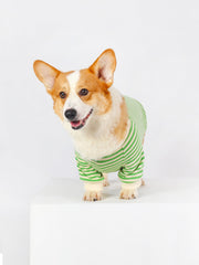 Clothes Made for Corgis