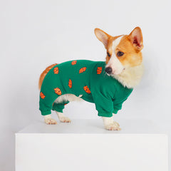 Green Jumpsuit for Dog