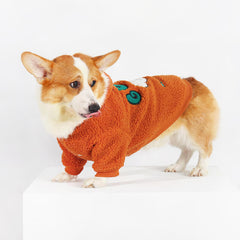 Cute Corgi Dog Outfits