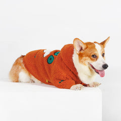 Cute Corgi Dog Outfits