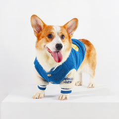 Blue Corgi Dress Up