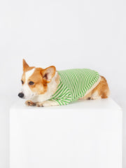 Clothes Made for Corgis