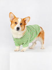 Clothes Made for Corgis