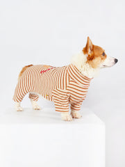 Shirts for Corgis