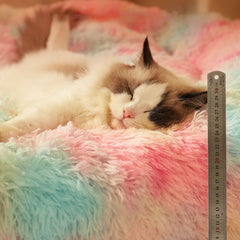 Rainbow Cozy Warm Dog/Cat Bed for Large Dogs