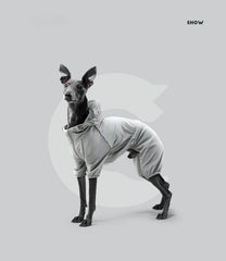 dog raincoat with hood 006
