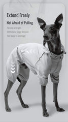 dog raincoat with hood 011