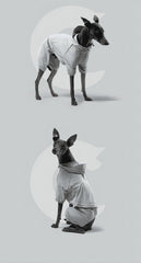 dog raincoat with hood 014