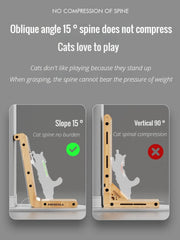 Luxury Cat Scratcher-012