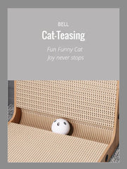 Luxury Cat Scratcher-022