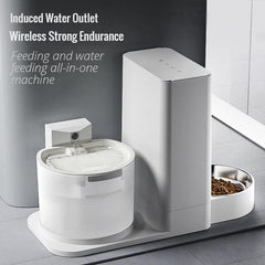Automatic Water And Food Dispenser For Dogs
