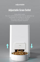 Automatic Water And Food Dispenser For Dogs