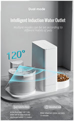 Automatic Water And Food Dispenser For Dogs