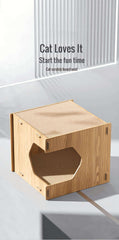 Cat Bed And Scratcher
