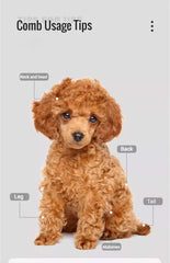 Dog/Cat Comb