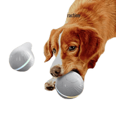 Dog Toys For Large Dogs Aggressive Chewers