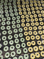 Handcrafted Chicken & Cheese Pet Donuts – 20-Pack, 100% Natural, No Additives, Fresh Ingredients – Perfect for Meal Toppers or Training Treats