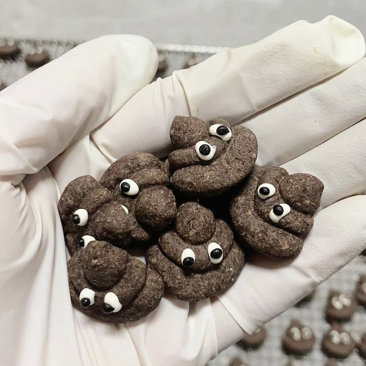 Handcrafted Dog Poop-Shaped Biscuits – Chicken Breast, Goat Cheese &amp; Veggie Blend – 20 Pieces, Individually Vacuum-Sealed – Healthy, No Additives, No Preservatives, Perfect Training &amp; Meal Topper Treats