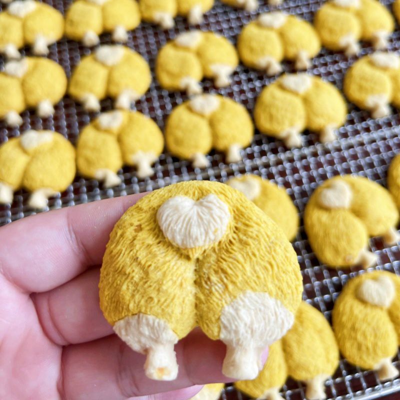 Corgi Butt Bites – Fresh-Baked Chicken &amp; Goat Cheese Treats | Cute. Crispy. Clean. | 20pcs