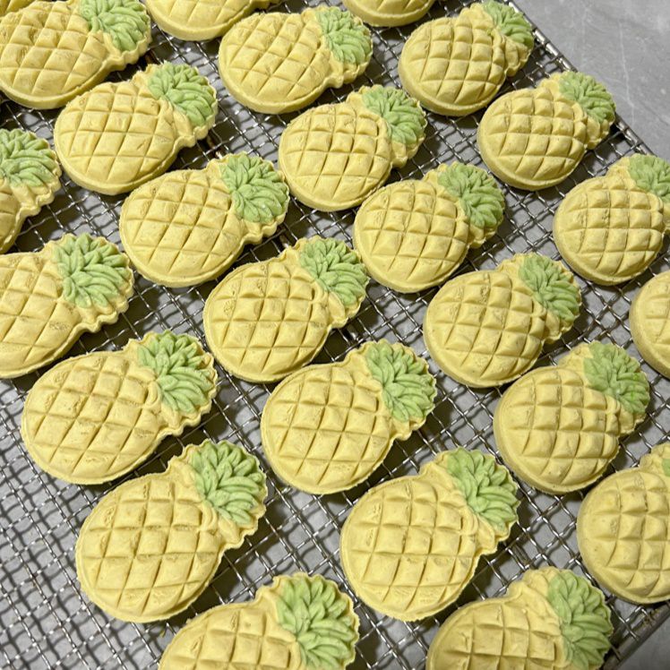 Handcrafted Pineapple Biscuit Dog Treats – Chicken, Cheese, & Veggie Blend – 20 Pieces, Individually Vacuum-Sealed – No Additives, No Preservatives, Healthy Training & Meal Topper Treats